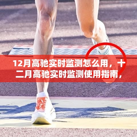高馳實(shí)時(shí)監(jiān)測使用指南，掌握十二月實(shí)時(shí)數(shù)據(jù)監(jiān)測技巧