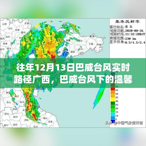 巴威臺(tái)風(fēng)下的廣西故事，溫馨軌跡與家的羈絆實(shí)時(shí)更新