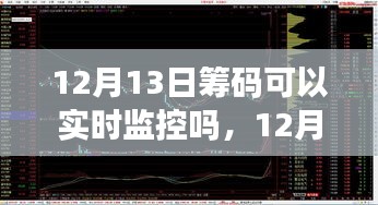 揭秘，12月13日籌碼實時監(jiān)控之旅，自然、內(nèi)心與籌碼的交響樂