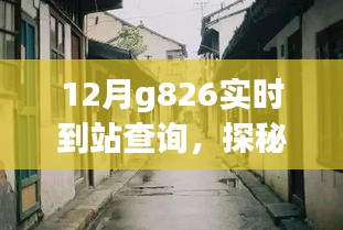 探秘時(shí)光小店，揭秘G826列車實(shí)時(shí)到站查詢與小巷深處的溫馨驛站體驗(yàn)