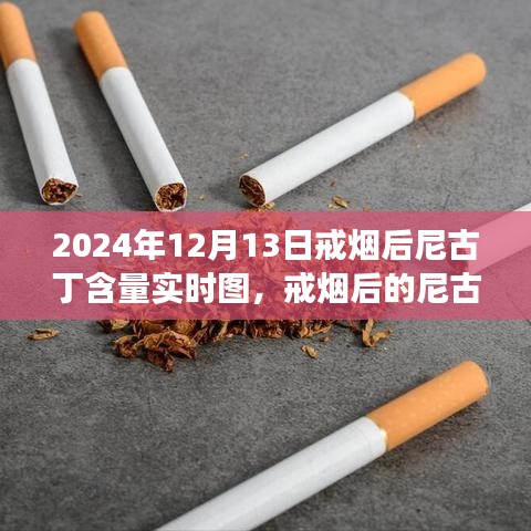 戒煙后尼古丁含量變化深度解讀，實時圖揭示戒煙過程尼古丁含量變化軌跡（圖文詳解）