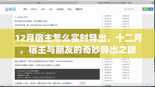十二月宿主與朋友的奇妙導(dǎo)出之旅，實(shí)時(shí)操作指南