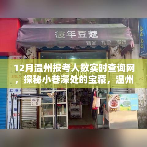探秘溫州報考人數(shù)實(shí)時查詢網(wǎng)，小巷深處的寶藏與特色小店揭秘