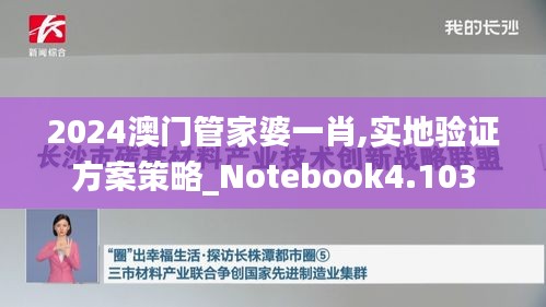 2024澳門管家婆一肖,實地驗證方案策略_Notebook4.103