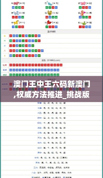 澳門王中王六碼新澳門,權威方法推進_挑戰(zhàn)版4.304