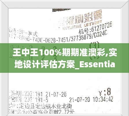 王中王100%期期準(zhǔn)澳彩,實地設(shè)計評估方案_Essential2.191