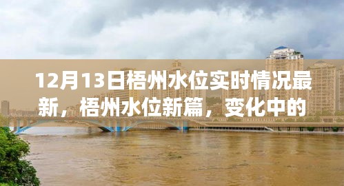 梧州水位實(shí)時(shí)更新，變化中的力量，學(xué)習(xí)與成就的自信之旅