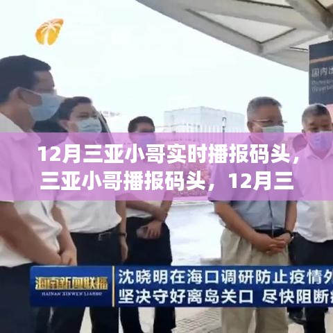12月三亞港口實(shí)時(shí)資訊播報(bào)與深度評(píng)測(cè)，小哥帶你直擊碼頭動(dòng)態(tài)