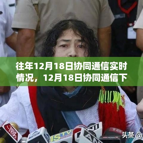 12月18日協(xié)同通信下的心靈與自然對話之旅，探尋內(nèi)心平和之地實(shí)時報告