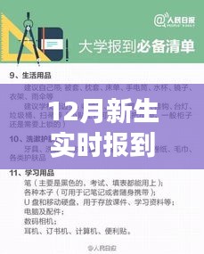 新生實時報到數(shù)據(jù)制作指南，從入門到精通的詳細步驟介紹