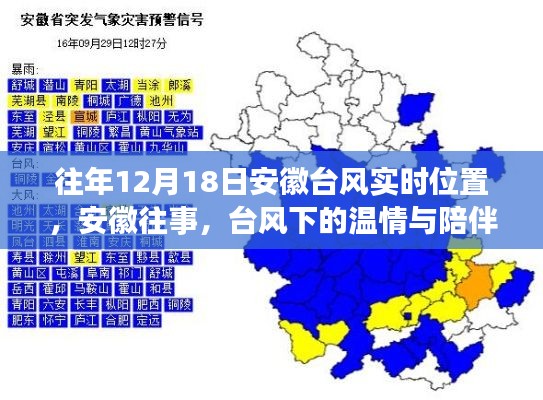 安徽臺風(fēng)實時追蹤與溫情陪伴之旅，臺風(fēng)下的溫情與陪伴之旅回顧