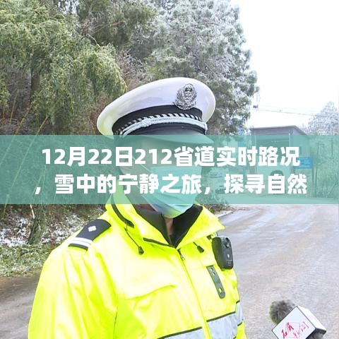 冬日雪中的寧靜之旅，探尋自然美景，啟程于212省道的實時路況探索之旅