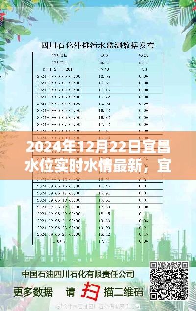 宜昌水位啟示錄，學(xué)習(xí)變化的力量，自信與成就感的源泉（實(shí)時(shí)更新至2024年12月22日）
