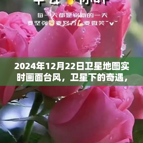 別出新意 第3頁