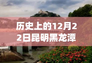 昆明黑龍?zhí)豆珗@的智慧與勇氣，實時監(jiān)控下的學(xué)習(xí)與夢想成就日