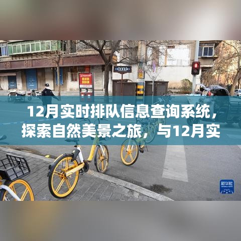 探索自然美景之旅，與實時排隊信息查詢系統(tǒng)共赴心靈寧靜之旅