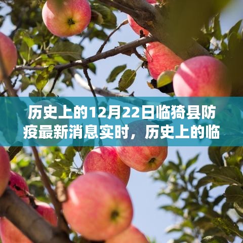 透過(guò)實(shí)時(shí)消息看臨猗縣防疫之路，歷史進(jìn)展與最新動(dòng)態(tài)
