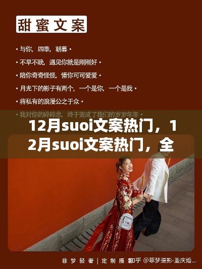 全面評(píng)測(cè)與介紹，12月熱門(mén)suoi文案精選