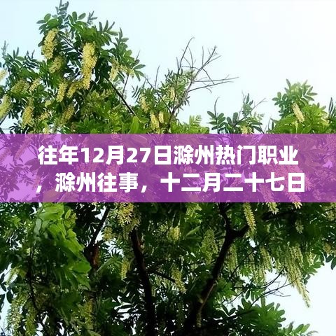 滁州十二月二十七日職業(yè)風(fēng)采變遷回顧，歷史影響與今日熱門(mén)職業(yè)解析