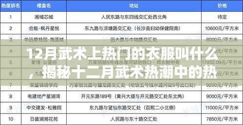揭秘十二月武術(shù)熱潮中的熱門(mén)服飾名稱(chēng)，武術(shù)服裝流行趨勢(shì)解析