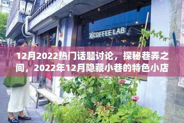 巷弄探秘，揭秘十二月隱藏小巷的特色小店故事