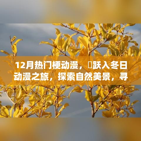 12月熱門梗動漫，躍入冬日探索之旅，自然美景與內(nèi)心的奇跡