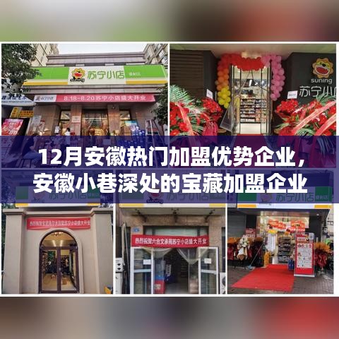 安徽特色加盟企業(yè)探尋，寶藏小店的無限魅力與獨特優(yōu)勢