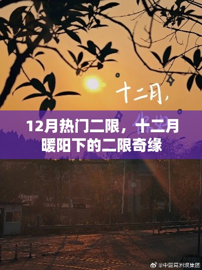十二月暖陽下的二限奇緣，12月熱門二次限定活動盤點