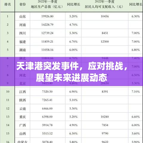 天津港突發(fā)事件，應(yīng)對挑戰(zhàn)，展望未來進(jìn)展動態(tài)