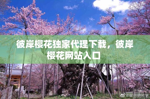 彼岸櫻花獨家代理下載，彼岸櫻花網(wǎng)站入口 