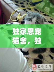 獨(dú)家恩寵貓舍，獨(dú)家寵愛是什么意思 
