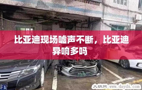 比亞迪現(xiàn)場(chǎng)噓聲不斷，比亞迪異響多嗎 