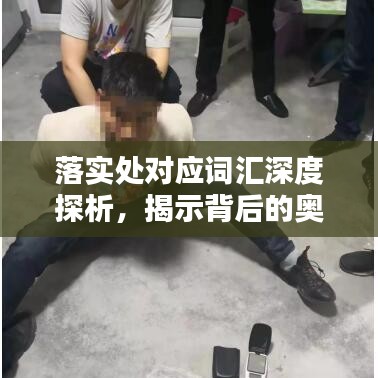 落實(shí)處對(duì)應(yīng)詞匯深度探析，揭示背后的奧秘