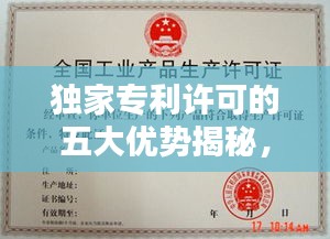 獨家專利許可的五大優(yōu)勢揭秘，專利保護下的商業(yè)新機遇！