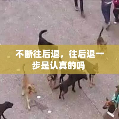 不斷往后退，往后退一步是認真的嗎 