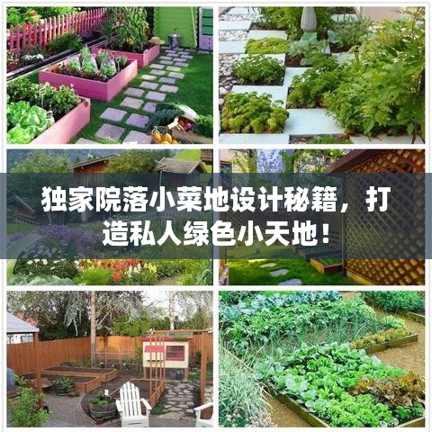 獨家院落小菜地設計秘籍，打造私人綠色小天地！