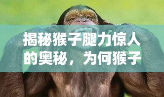 揭秘猴子腿力驚人的奧秘，為何猴子腿能擰不斷？