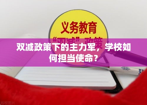 雙減政策下的主力軍，學校如何擔當使命？