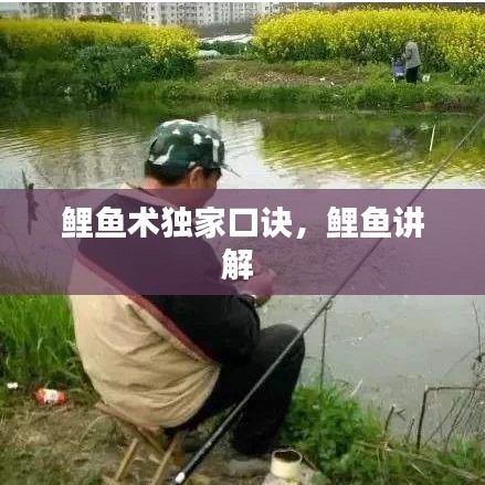 鯉魚術獨家口訣，鯉魚講解 