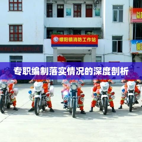 專(zhuān)職編制落實(shí)情況的深度剖析