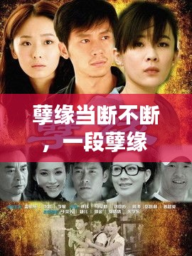 擇善而從 第3頁(yè)