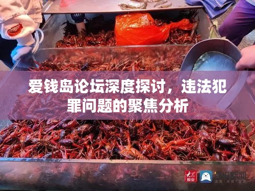 愛(ài)錢(qián)島論壇深度探討，違法犯罪問(wèn)題的聚焦分析
