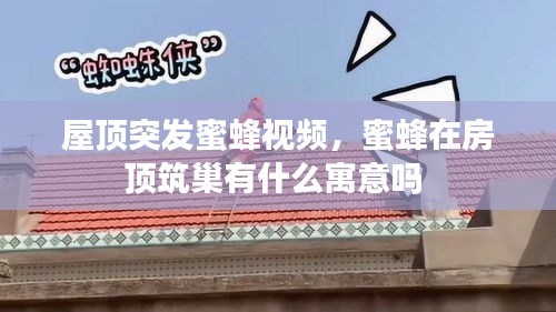 屋頂突發(fā)蜜蜂視頻，蜜蜂在房頂筑巢有什么寓意嗎 