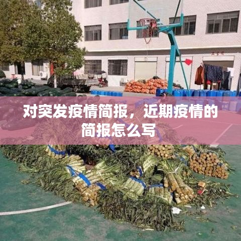 對突發(fā)疫情簡報，近期疫情的簡報怎么寫 