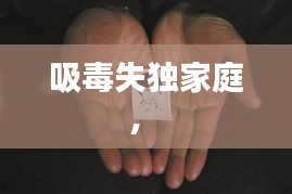 吸毒失獨(dú)家庭， 