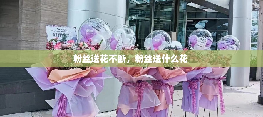 粉絲送花不斷，粉絲送什么花 