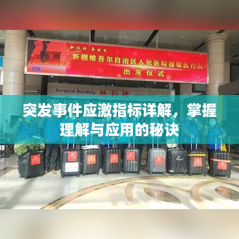 突發(fā)事件應(yīng)激指標(biāo)詳解，掌握理解與應(yīng)用的秘訣