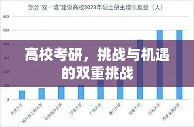 高?？佳?，挑戰(zhàn)與機(jī)遇的雙重挑戰(zhàn)