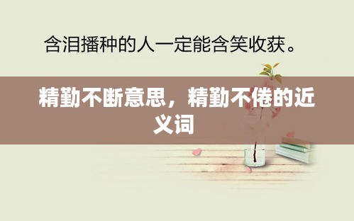 精勤不斷意思，精勤不倦的近義詞 
