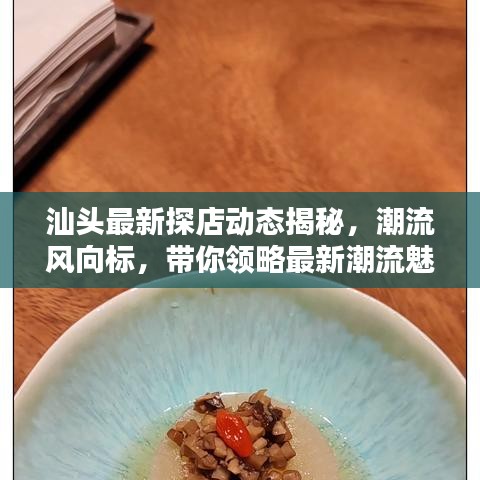 汕頭最新探店動態(tài)揭秘，潮流風(fēng)向標(biāo)，帶你領(lǐng)略最新潮流魅力